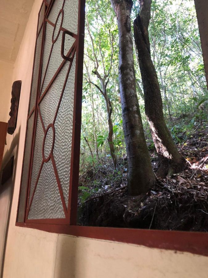Sítio Porta das Águas Caxambu Exterior foto